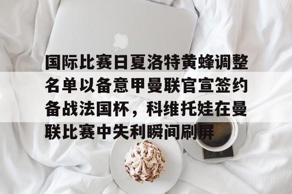 九游娱乐登录入口-国际比赛日夏洛特黄蜂调整名单以备意甲曼联官宣签约备战法国杯，科维托娃在曼联比赛中失利瞬间刷屏的简单介绍